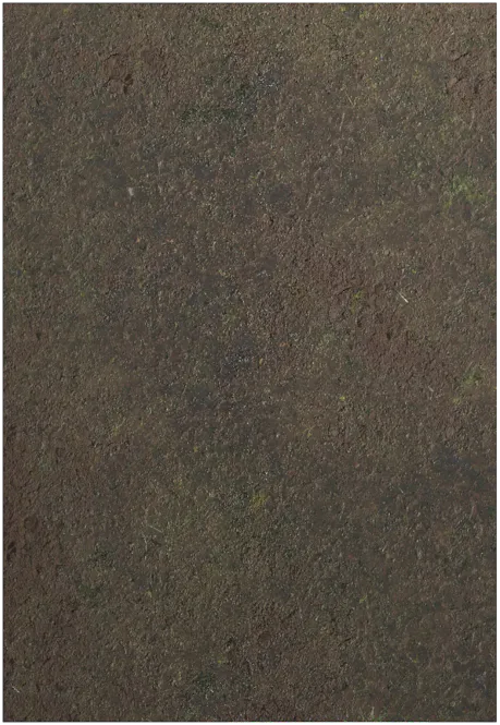 Hovedbilde 44x30 G-Mat: Swamp (Gamemat.eu)