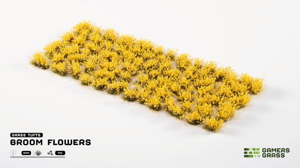 Hovedbilde Gamers Grass: Broom Flowers